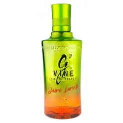 G'Vine Edición Especial Jaime Lorente Volumen 70cl